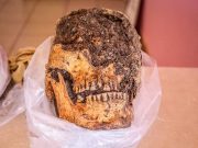 Encuentran restos otomíes en Villa del Carbón