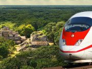 Presentan proyecto de Tren Maya en Foro Urbano Mundial Salva la Selva - Presentan proyecto de Tren Maya en Foro Urbano Mundial