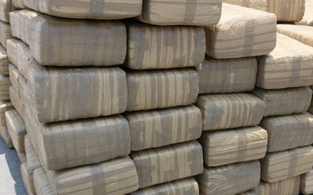 Decomisa GN más de 100 kilos de marihuana en Jalisco