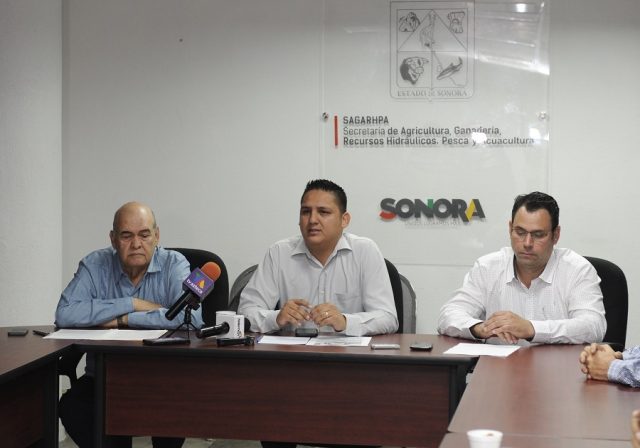 Lanza Sagarhpa recomendaciones sanitarias para la venta de mariscos durante la cuaresma