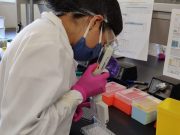Científicos de la UNAM crean prueba rápida para detectar COVID-19
