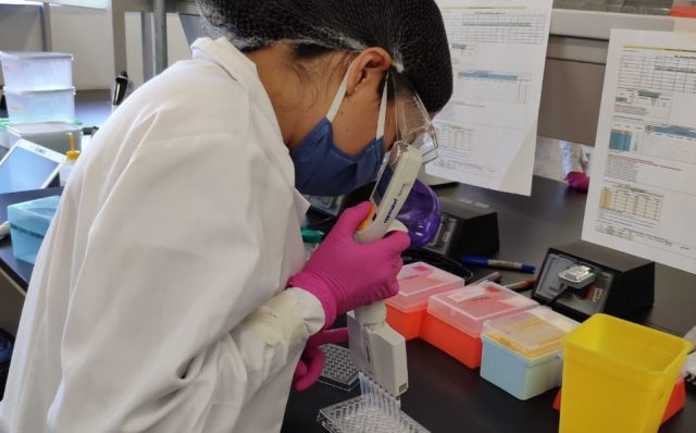 Científicos de la UNAM crean prueba rápida para detectar COVID-19