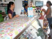 Van 115 mil «créditos solidarios» entregados a pequeñas empresas El Economista