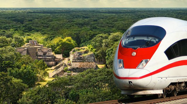 Construcción del Tren maya viola la ley: ambientalistas Salva la selva