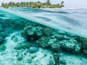 Quintana Roo protege playas y arrecifes para garantizar la reactivación económica Quinta Fuerza