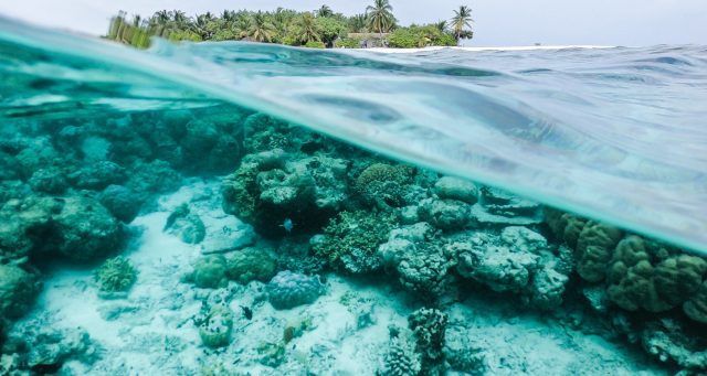 Quintana Roo protege playas y arrecifes para garantizar la reactivación económica Quinta Fuerza