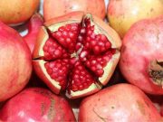 Hidalgo exporta granada a Europa 2000Agro