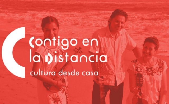 Encuentra en «Contigo en la distancia» clases, historia, cursos y retos para conocer y disfrutar de la danza El Universal