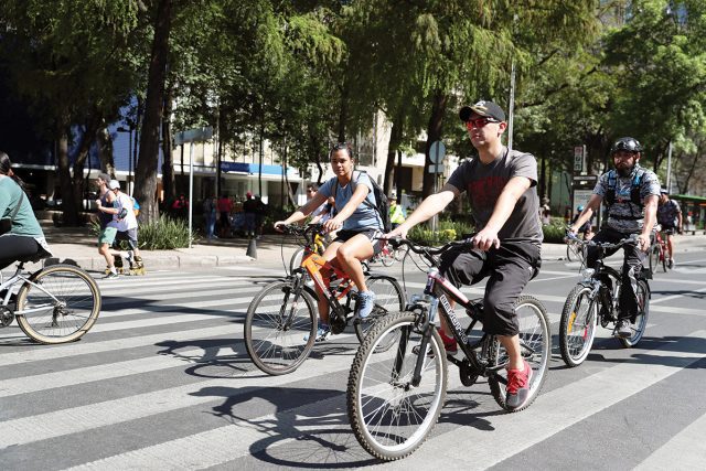 Ciclistas que infrinjan leyes de tránsito no serán sancionados Newsweek México