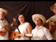 La Pura Pulpa difunde la música tradicional mexicana en el norte del país Pinterest