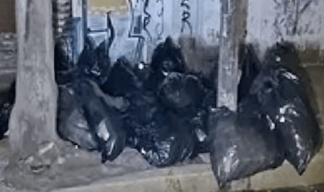 Detienen a responsables de tirar fármacos en Azcapotzalco El sur de Acapulco