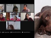 Darían 4 años de cárcel a secuestradores de mascotas en Puebla Diario El Mundo