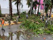 Árboles y postes caídos en Quintana Roo a causa de Delta Expansión Política
