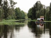 Retiran miles de toneladas de basura de los canales de Xochimilco CDMX Travel