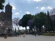 Cerrarán plancha del Zócalo de Puebla
