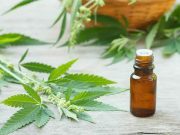 Mezquital y Huasteca, sembrarían la cannabis