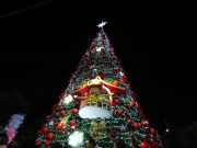 Salud exhorta a evitar reuniones por fiestas