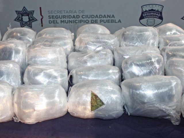 Incautan 100 kilos de marihuana en Puebla
