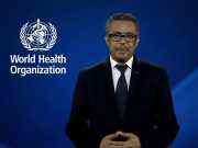 OMS da a conocer cuatro hipótesis sobre el origen del nuevo coronavirus