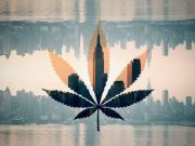 NY legaliza el uso de la marihuana y destinará impuestos a comunidades marginadas
