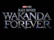 «Black Panther» anuncia título y fecha de estreno para su secuela