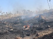 Registra Hidalgo 65 incendios forestales de enero a abril de 2021