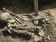 Descubren pruebas del primer ataque de un tiburón a un humano