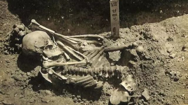 Descubren pruebas del primer ataque de un tiburón a un humano