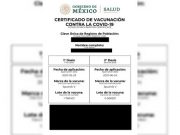 Hasta tres años de cárcel a quien solicite o falsifique certificado de vacunación
