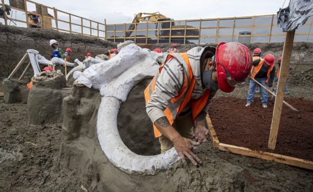 Encuentras restos de casi 500 mamuts en terrenos del nuevo aeropuerto