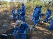 Localizan fosas con restos humanos en Sonora