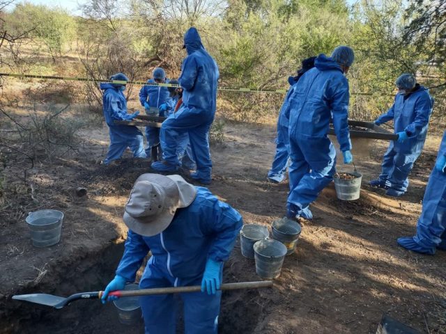 Localizan fosas con restos humanos en Sonora