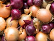 EE. UU. tiene brote de salmonelosis por cebollas cultivadas en México