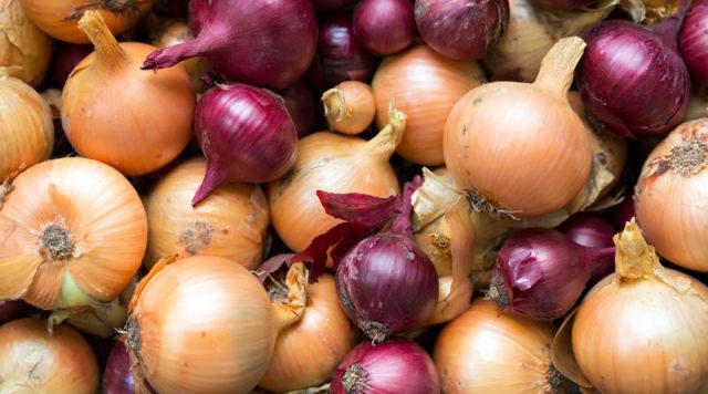 EE. UU. tiene brote de salmonelosis por cebollas cultivadas en México