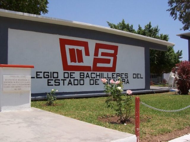 Alumnos de Cobach representarán a Sonora en la 35ª Olimpiada Mexicana de Matemáticas