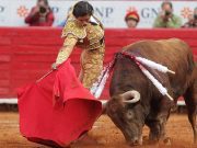 Aprueban dictamen para prohibir corridas de toros en la CDMX