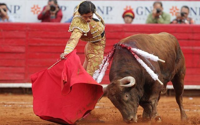 Aprueban dictamen para prohibir corridas de toros en la CDMX