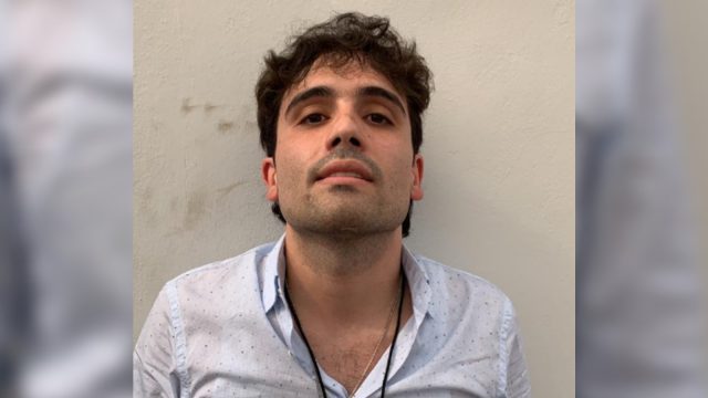 Ofrecen hasta 5 mdd por cada hijo del Chapo Guzmán