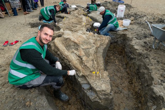 Encuentran los restos del dragón marino más grande de Gran Bretaña