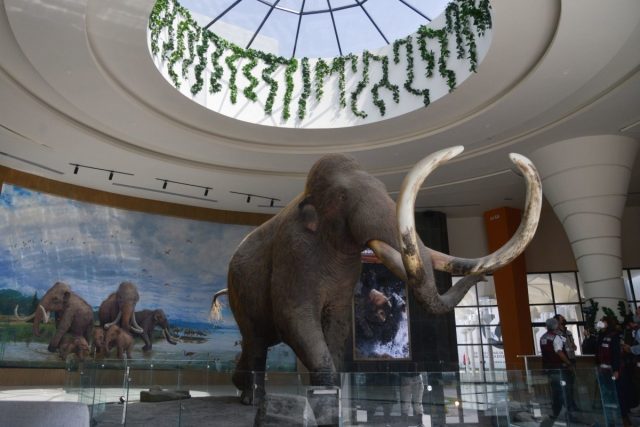 Museo de mamuts en el AIFA, único en su tipo en AL