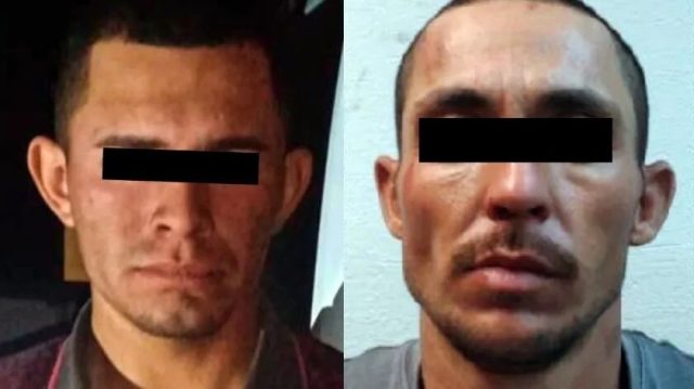 Desarticulan a banda dedicada al robo de ganado en Sonora