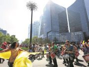 Ejemplar que sustituirá a la Palma se colocará en un mes