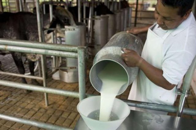 Mejora producción de leche en Hidalgo