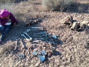 Restos óseos no son del hijo de Madre Buscadora en Sonora