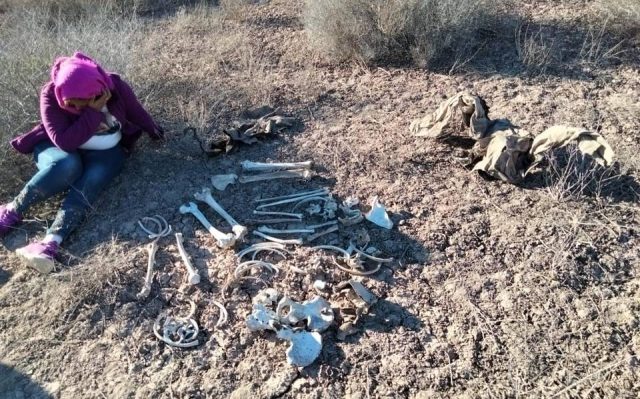 Restos óseos no son del hijo de Madre Buscadora en Sonora