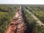 Juez ordena suspensión definitiva del tramo 5 del Tren Maya