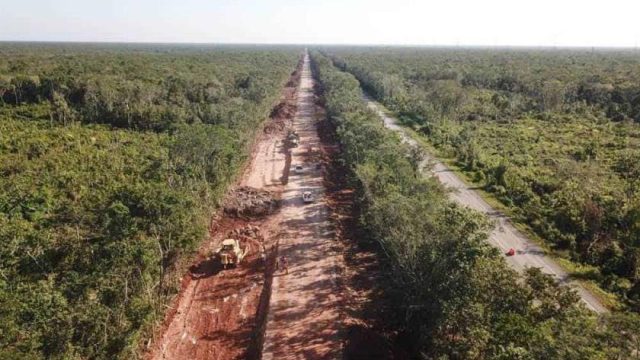 Juez ordena suspensión definitiva del tramo 5 del Tren Maya
