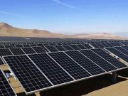 Planta solar de Puerto Peñasco ya muestra avances, no indicios: Alfonso Durazo