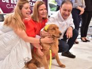 Protección y Bienestar Animal tiene nueva directora