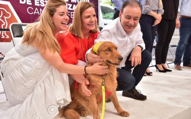 Protección y Bienestar Animal tiene nueva directora